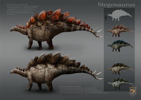 Stego.